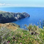Villa-Crimi